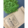 Набор для выращивания микрозелени My Green Горчица:лоток+коврик+семена