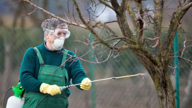 Весенняя обработка сада