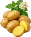 Картофель