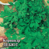 Кориандр Дебют (Гавриш)