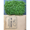 Набор для выращивания микрозелени My Green Руккола:лоток+коврик+семена