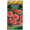 Цинния Тополино лососевая (Аэлита)