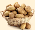 Картофель семенной