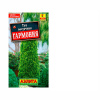 Туя Гармония (Аэлита)