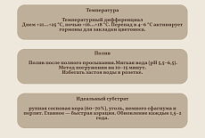 Уход за Фаленопсисом