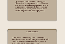 Уход за Литопсом