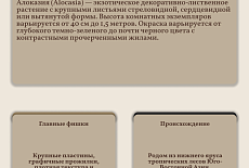 Уход за Алоказией 