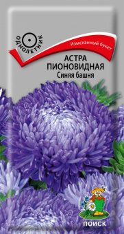 Астра пионовидная Синяя башня (Поиск)
