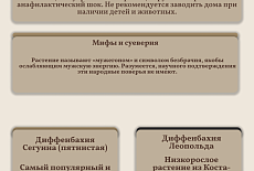 Уход за Диффенбахией