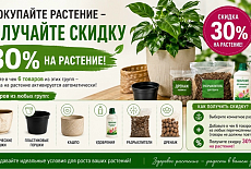 6+1=-30% НА РАСТЕНИЕ 