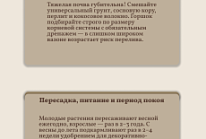 Уход за Алоказией 