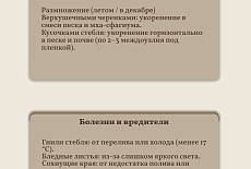 Уход за Диффенбахией