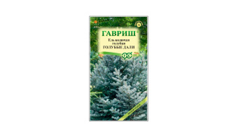 Ель Голубые дали (Гавриш)