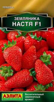 Земляника Настя (Аэлита)