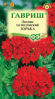 Лихнис халцедонский Зорька (Гавриш)