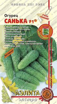 Огурец Санька (Аэлита)