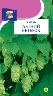 Хмель Летний ветерок (УУ)