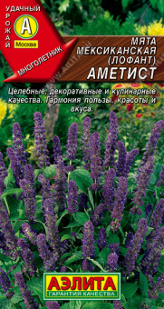 Мята мексиканская Аметист (Аэлита)