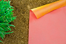 “Агротекс” – защита сада под радугой цвета