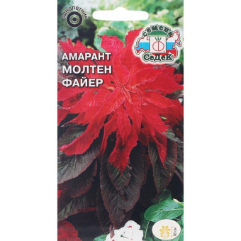 Амарант Молтен Файер (Седек)