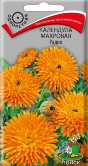 Календула махровая Радио (Поиск)