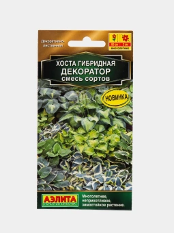 Хоста Декоратор смесь сортов (Аэлита)