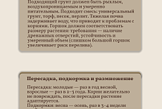 Уход за Аглаонемами 