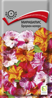 Мирабилис Броукен колорс (Поиск)