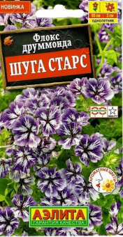 Флокс Друммонда Шуга Старс (Аэлита)
