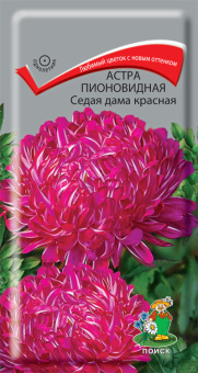 Астра пионовидная Седая дама красная (Поиск)