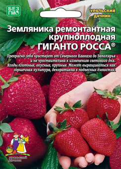 Земляника Гиганто Росса (УД)