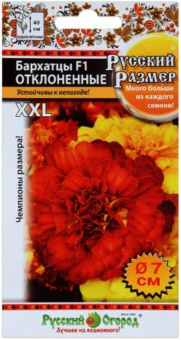 Бархатцы отклоненные Русский размер (НК)