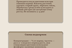 Уход за Фаленопсисом