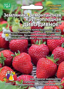 Земляника Диво дивное (УД)
