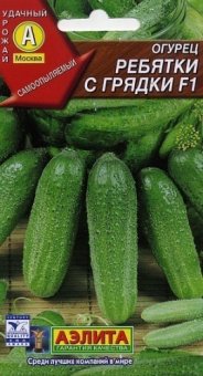 Огурец Ребятки с грядки (Аэлита)
