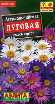 Астра альпийская Луговая смесь (Аэлита)