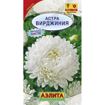 Астра Вирджиния (Аэлита)