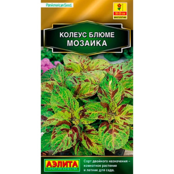 Колеус Блюме Мозайка (Аэлита)