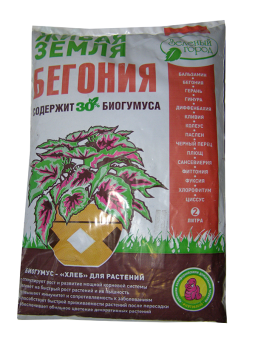 пг.2л Зеленый город Бегония, ,