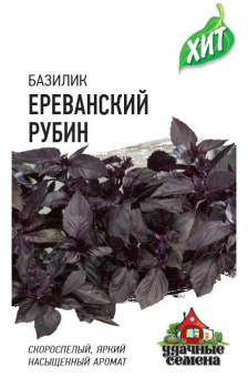Базилик Ереванский рубин (Гавриш)