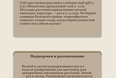 Уход за Спатифиллумом