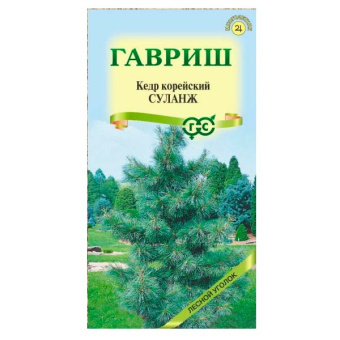 Кедр корейский Суланж (Гавриш)