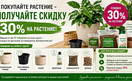 6+1=-30% НА РАСТЕНИЕ 