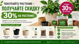 6+1=-30% НА РАСТЕНИЕ 