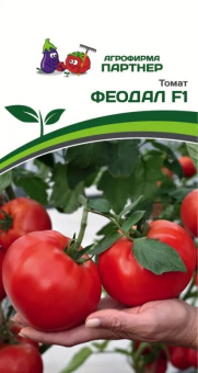 Томат Феодал (Партнер)