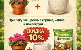 Лови момент!