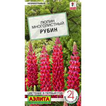 Люпин многолистный Рубин (Аэлита)