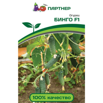 Огурец Бинго (Партнер)