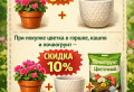 Лови момент!