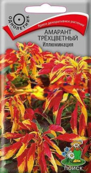Амарант трехцветный Иллюминация (Поиск) (Уд)